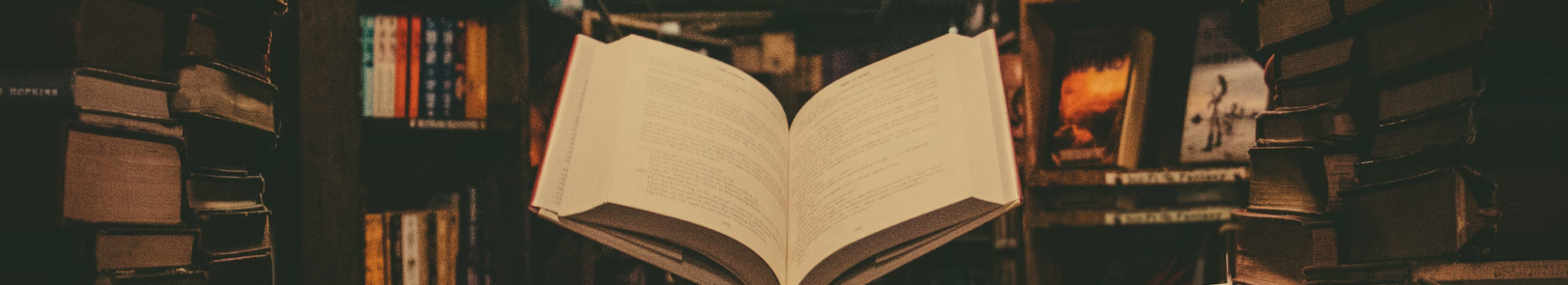 دليل الاستخدام